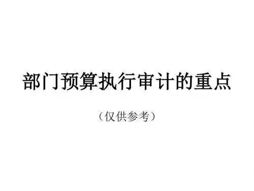 部门预算执行审计
