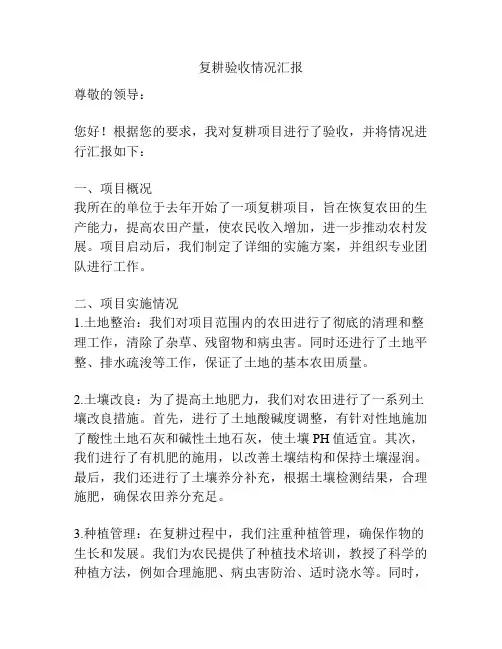 复耕验收情况汇报