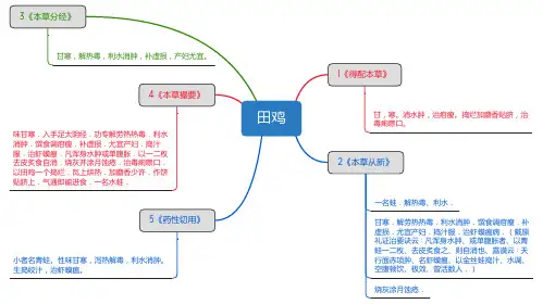 田鸡_思维导图_中药学_药材来源详解
