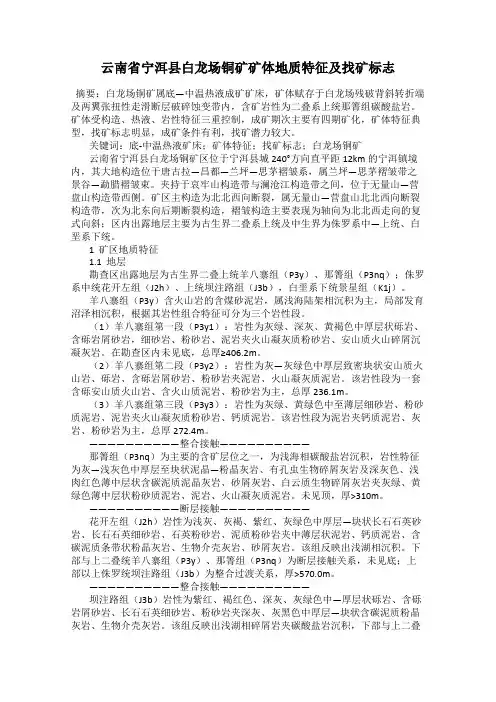 云南省宁洱县白龙场铜矿矿体地质特征及找矿标志