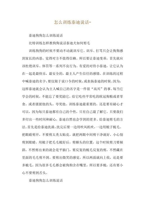 怎么训练泰迪说话--泰迪狗狗怎么训练说话
