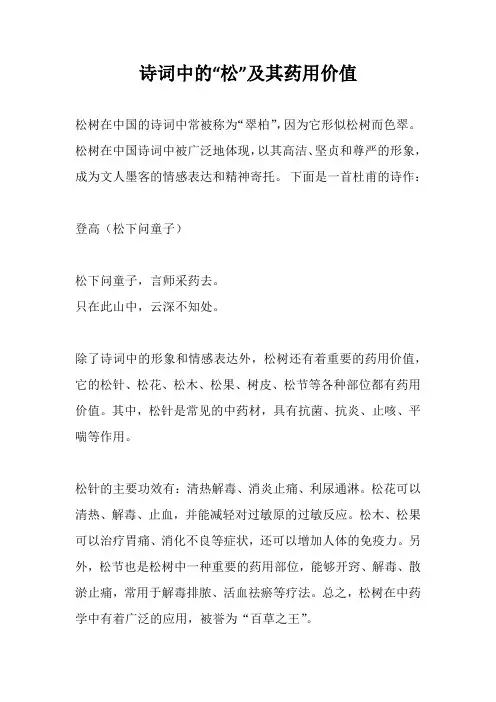 诗词中的“松”及其药用价值