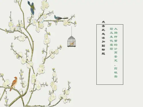 大肠杆菌的分离鉴定