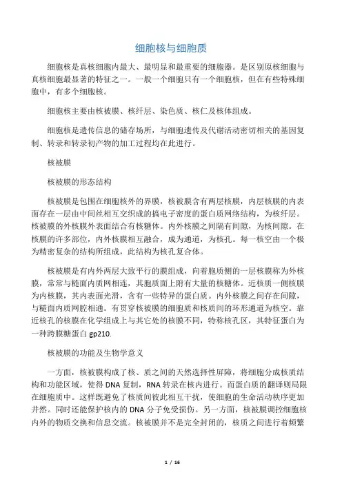 细胞生物学细胞核与染色体