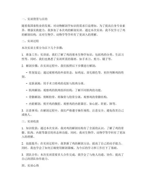 实训报告鸡的解剖个人总结
