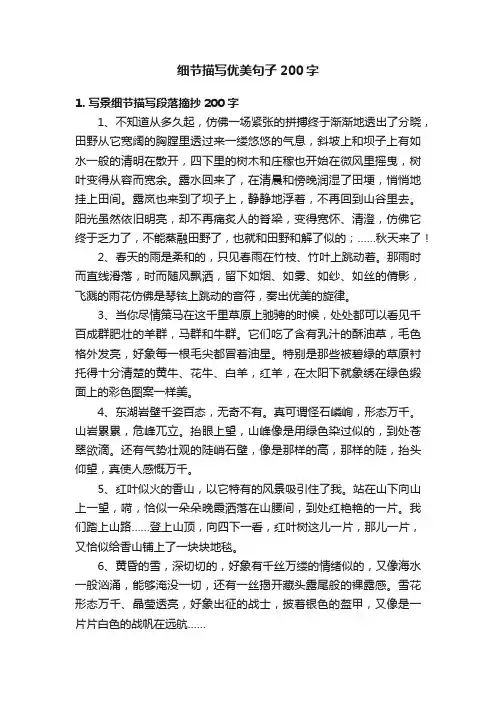 细节描写优美句子200字