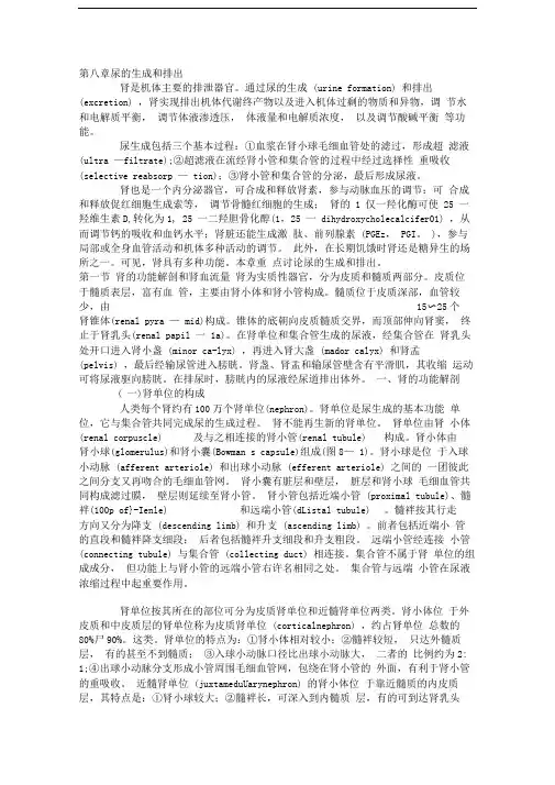 生理学第八章尿的生成和排出