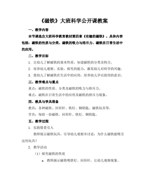 《磁铁》大班科学公开课教案