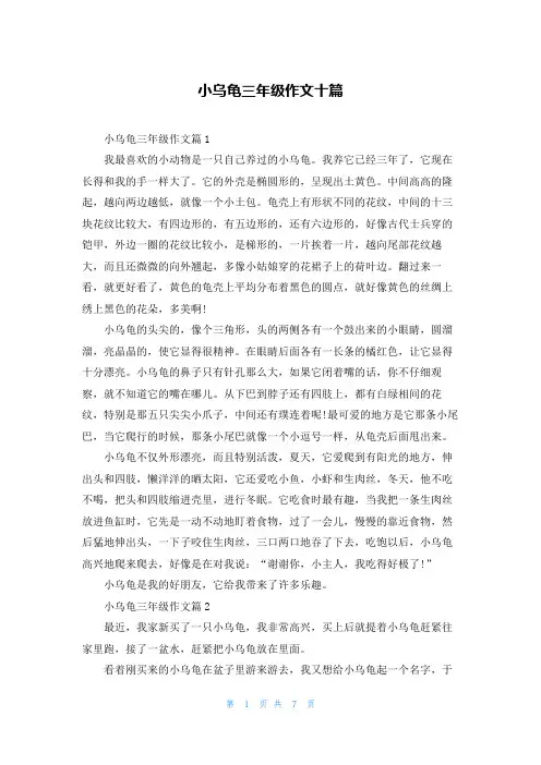 小乌龟三年级作文十篇