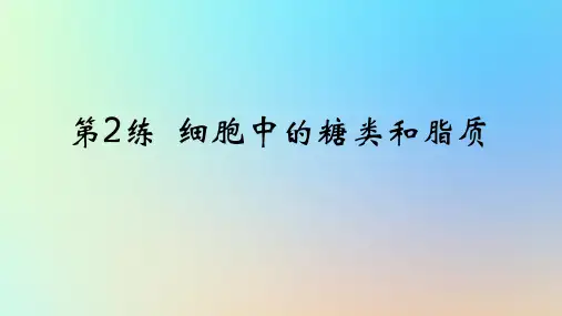 高考生物一轮复习真题精练第一章细胞的分子组成第2练细胞中的糖类和脂质