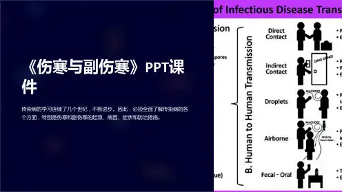 《伤寒与副伤寒》课件