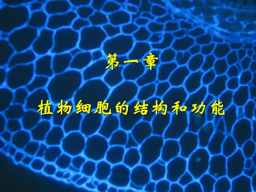 《植物生理学》第一章 细胞生理ppt课件