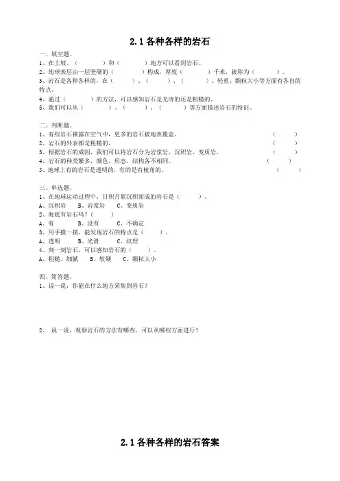 2.1《各种各样的岩石》练习
