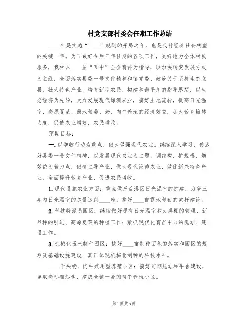 村党支部村委会任期工作总结(2篇)