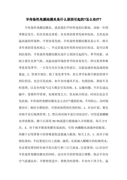 羊传染性角膜结膜炎是什么原因引起的-怎么治疗-