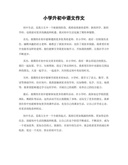 小学升初中语文作文