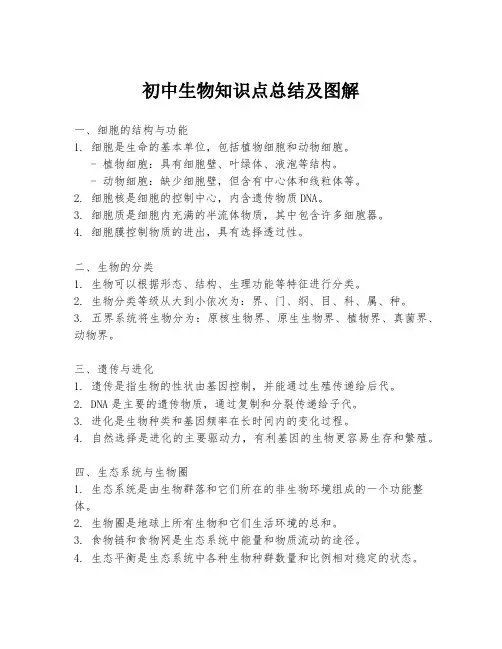 初中生物知识点总结及图解
