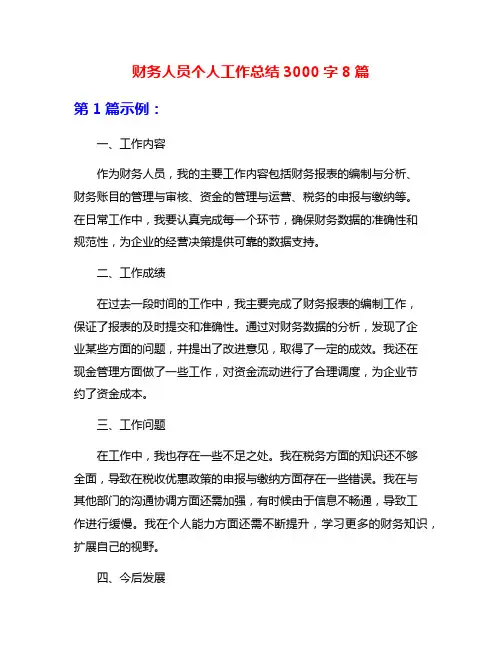 财务人员个人工作总结3000字8篇