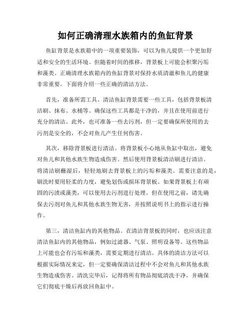 如何正确清理水族箱内的鱼缸背景
