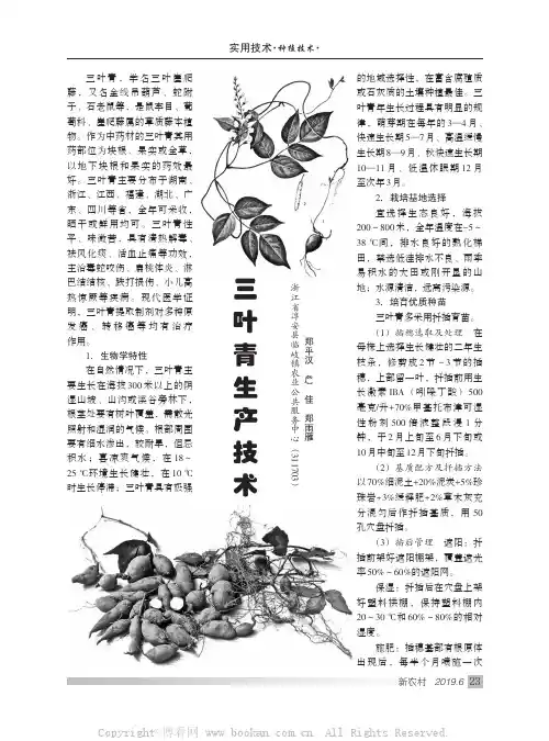 三叶青生产技术