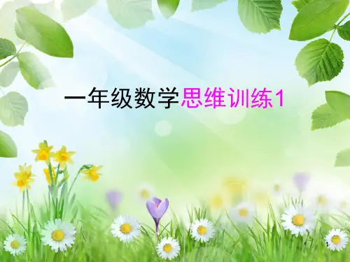 [数学]一年级数学思维训练(课堂PPT)