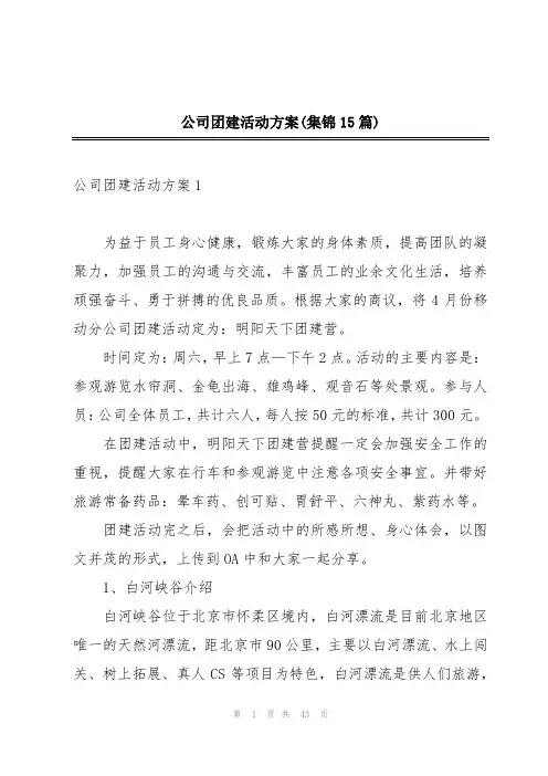 公司团建活动方案(集锦15篇)