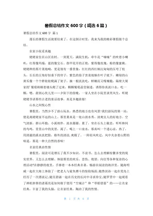 暑假总结作文600字(精选6篇)