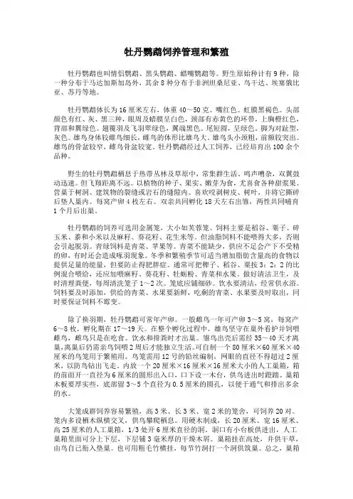 (完整word版)牡丹鹦鹉的饲养管。理和。繁。殖(word文档良心出品)