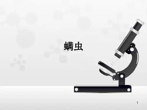 螨虫--介绍ppt课件