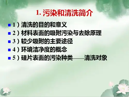 第五章硅片加工-硅片清洗