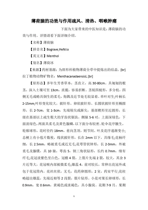 薄荷脑的功效与作用疏风、清热、咽喉肿痛