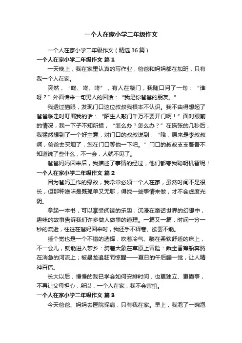 一个人在家小学二年级作文