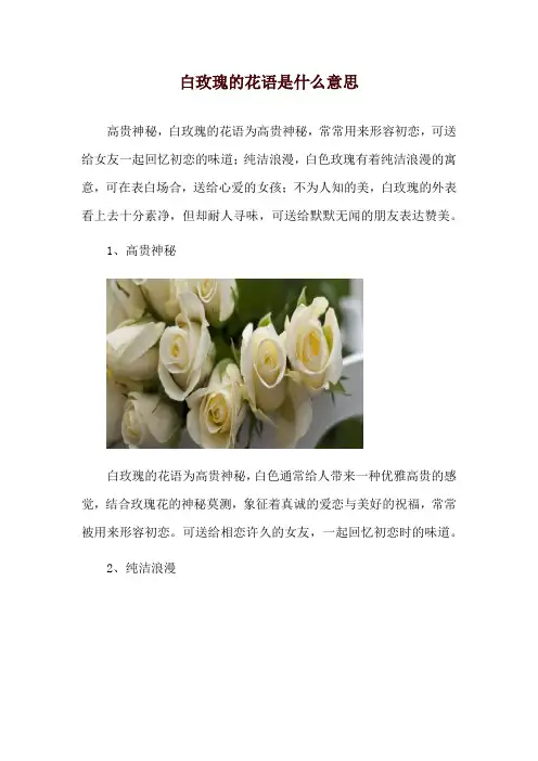 白玫瑰的花语是什么意思