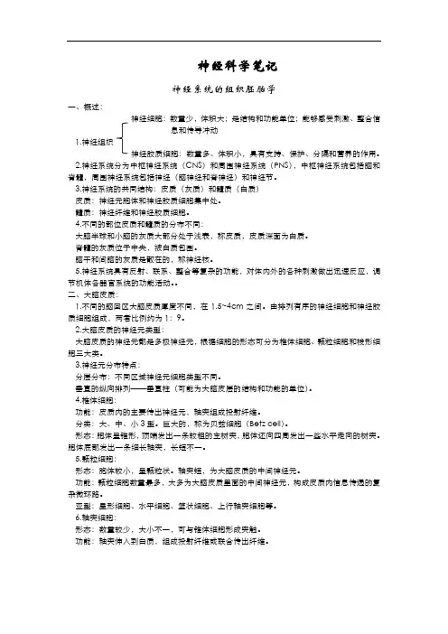 神经科学笔记