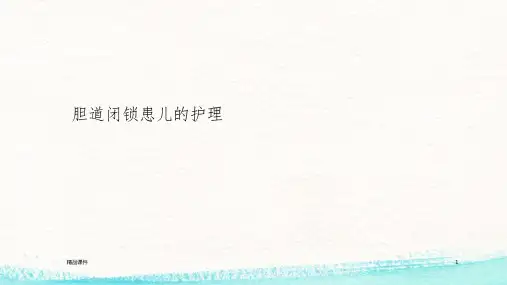 胆道闭锁患儿的护理ppt课件