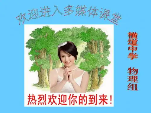 九年物理教学课件多彩的物质世界复习课PPT