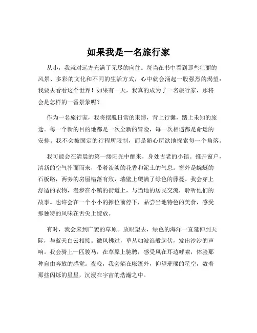 如果我是一名旅行家