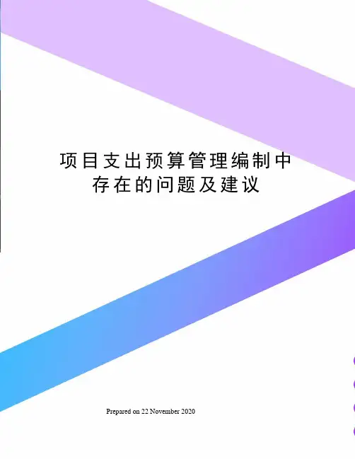 项目支出预算管理编制中存在的问题及建议