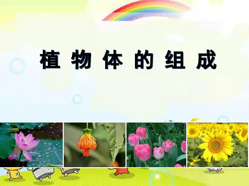 (新)苏科版生物七下《植物体的组成》公开课(课件)