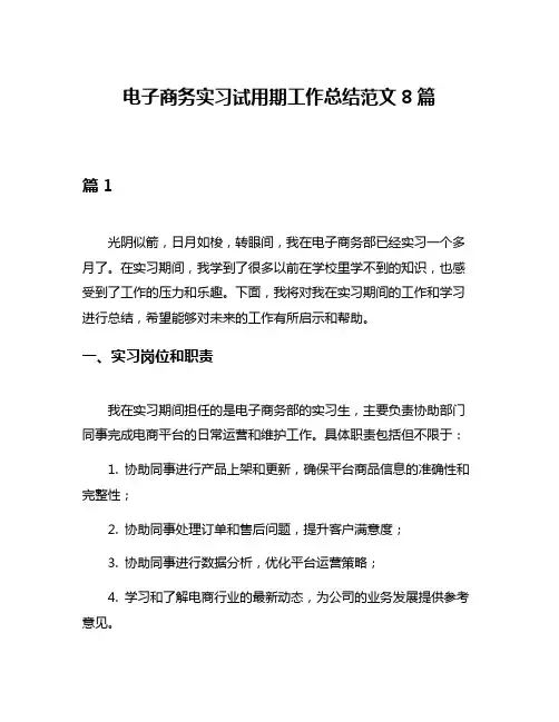 电子商务实习试用期工作总结范文8篇