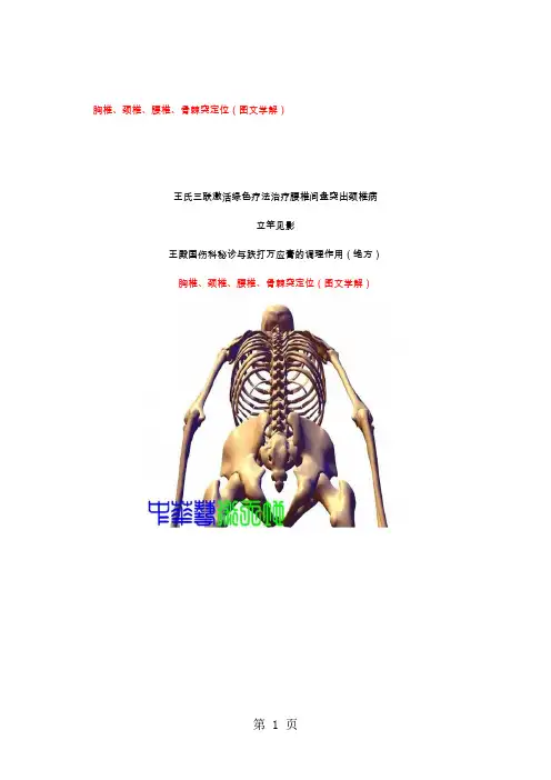 胸椎、颈椎、腰椎、骨棘突定位图文学解精华-18页文档资料