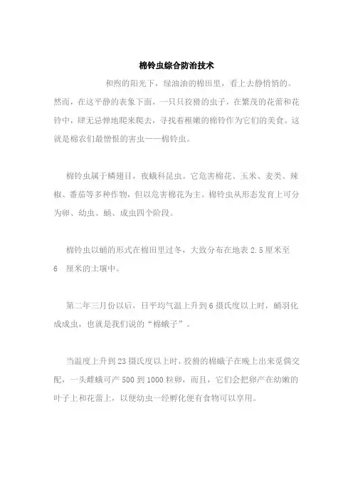 棉铃虫综合防治技术