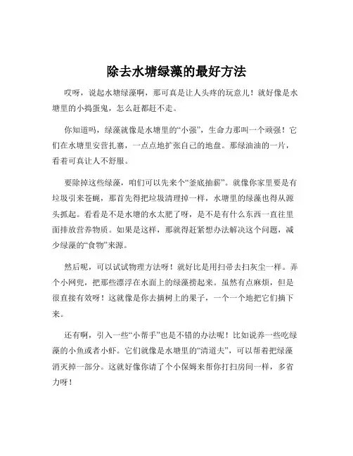 除去水塘绿藻的最好方法