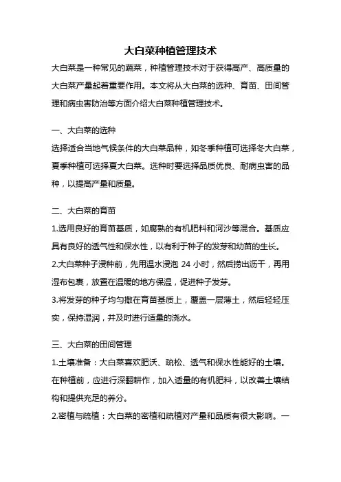 大白菜种植管理技术