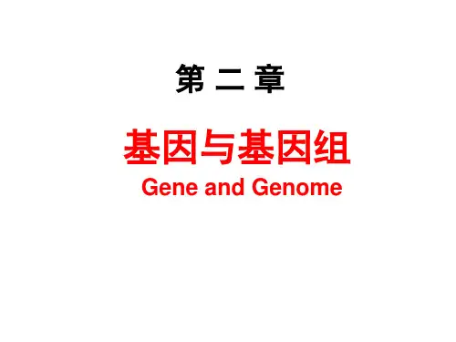 医学分子生物学-2.基因与基因组-coco