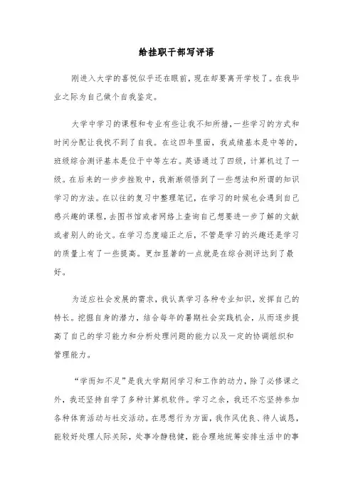 给挂职干部写评语(四篇)
