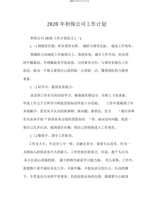 2020年担保企业工作计划