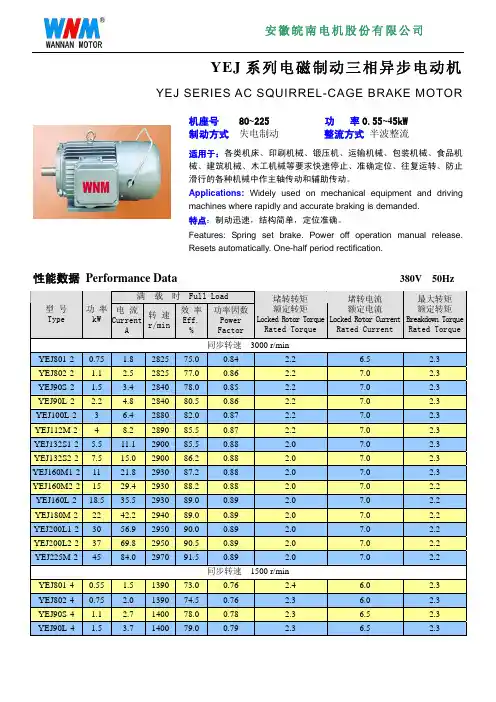 YEJ系列电磁制动三相异步电动机