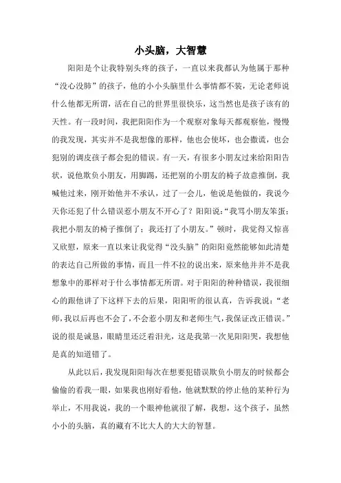 小头脑大智慧