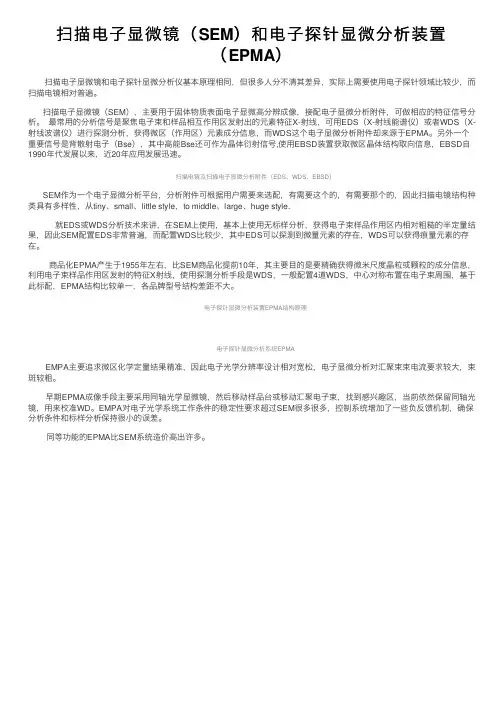 扫描电子显微镜（SEM）和电子探针显微分析装置（EPMA）